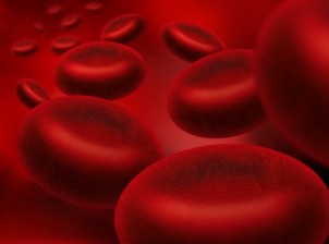 What Could Artificial Blood Mean for Bleeding Community?